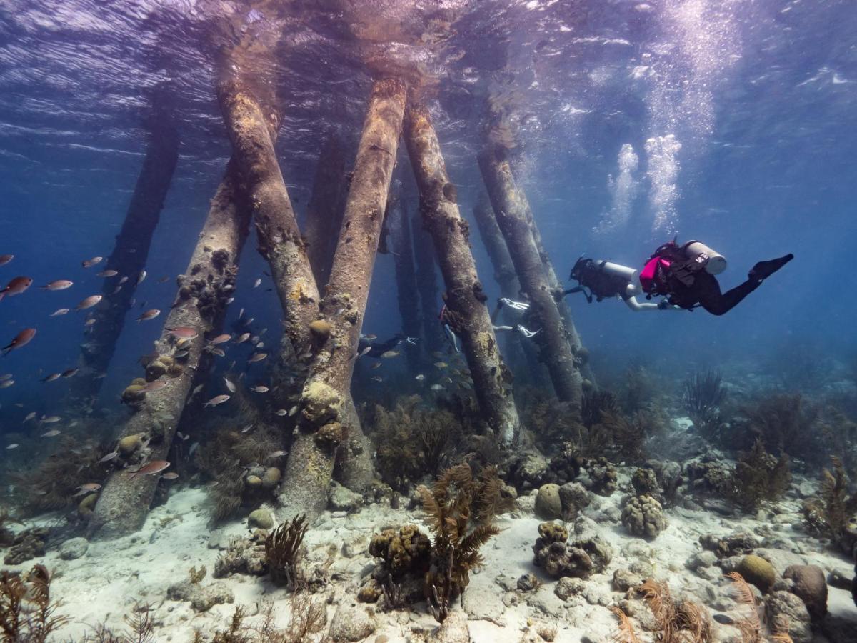 Hotel Grand Windsock Bonaire Kralendijk na wyspie Bonaire Zewnętrze zdjęcie